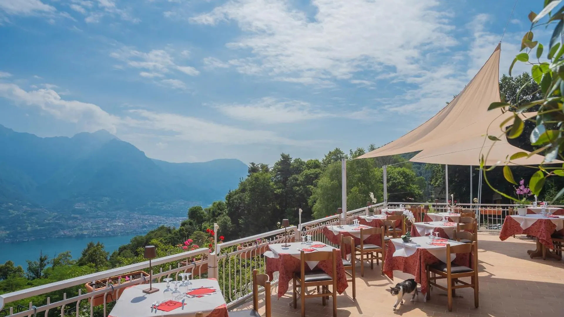 Pet Friendly Hotel Mirabeau Bellagio